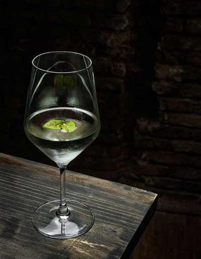 Cocktail Estragón (Artemisia dracunculus)